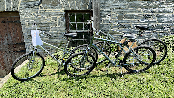 Adult Bike Rental